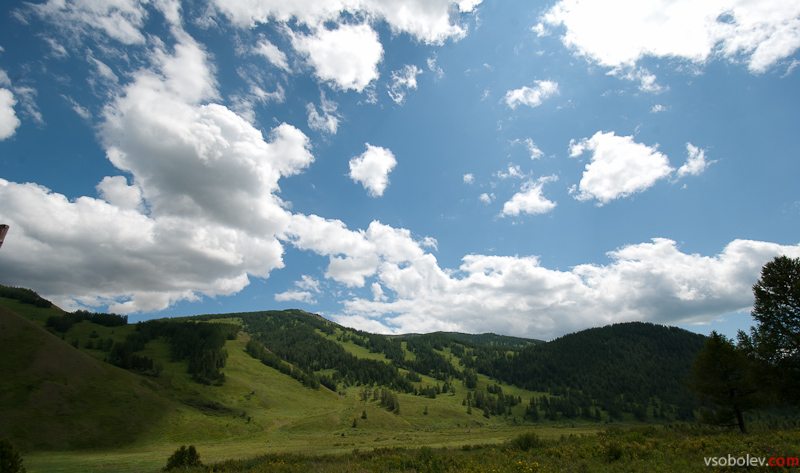 Старо-австрийская дорога (Восточный Казахстан)