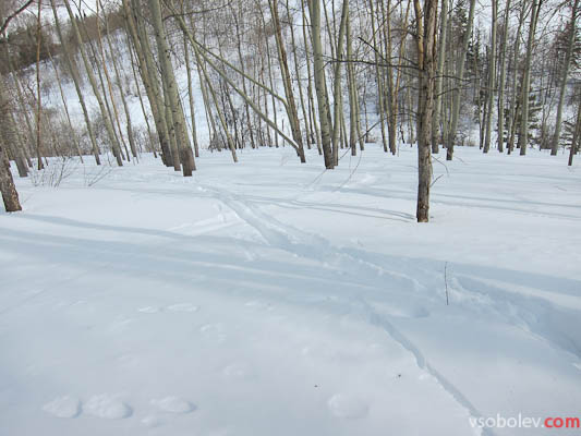 В лесу по снегу едут легко