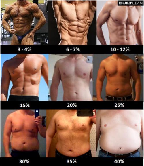 body-fat-percent-3