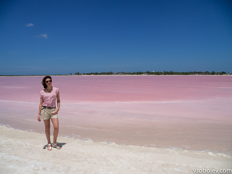 Розовые озера и розовые фламинго. Канкун.