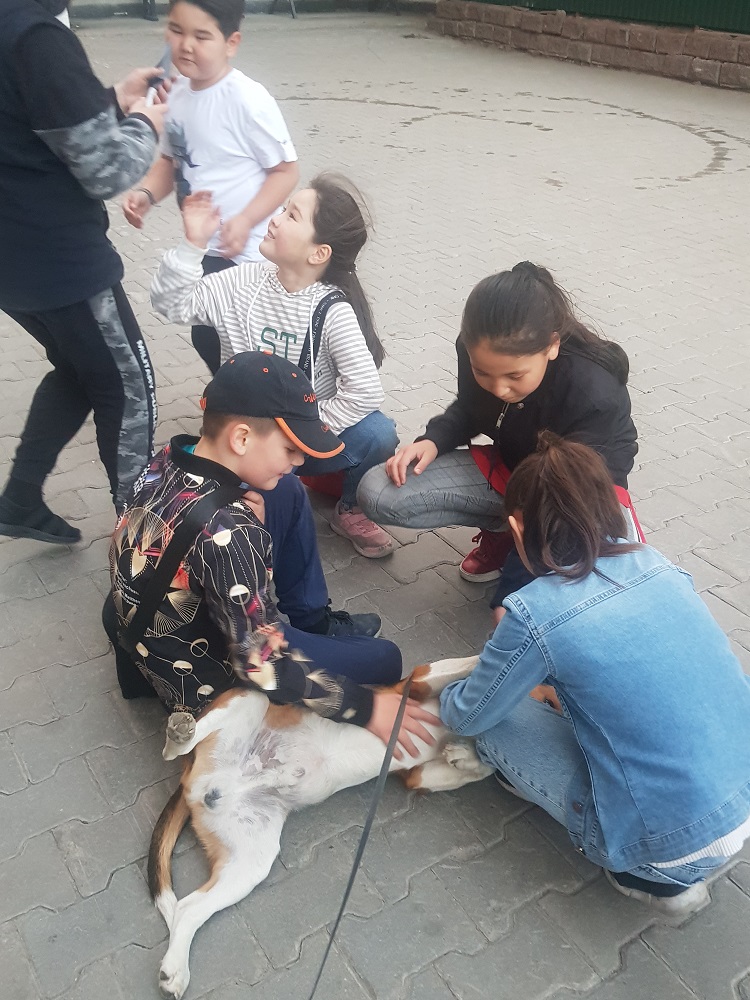 Конфликт космонавта Мусабаева и девушки с собакой