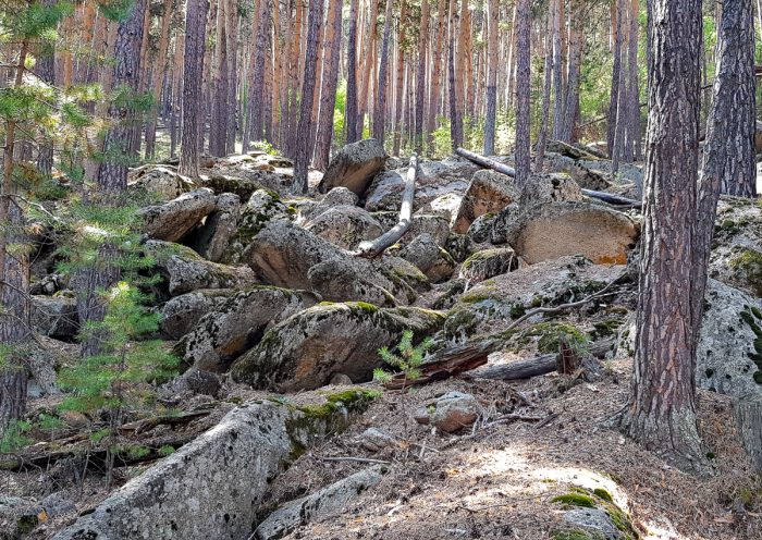 Лес и горы Каркаралинск