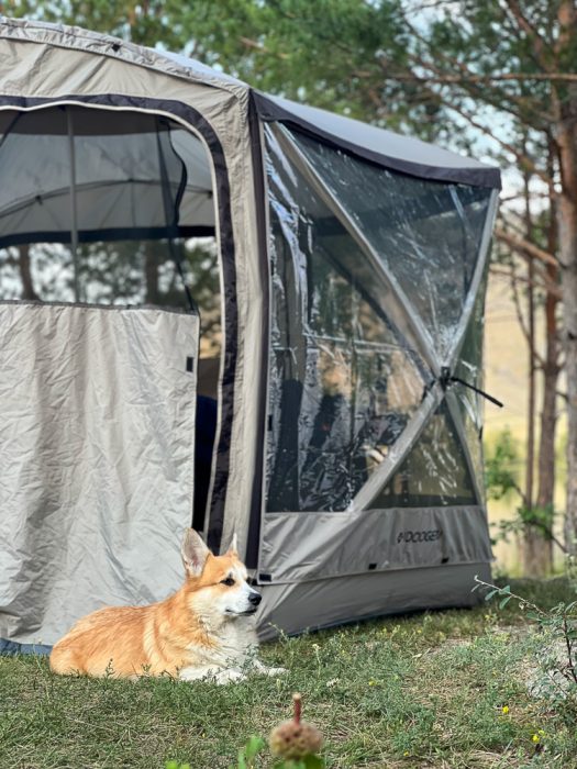 Нижние Таинты  лагерь