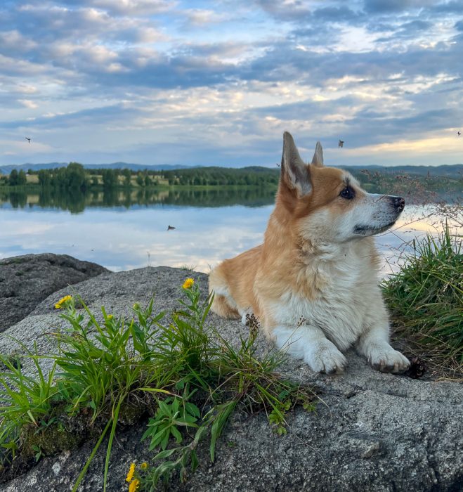 Нижние Таинты  лагерь