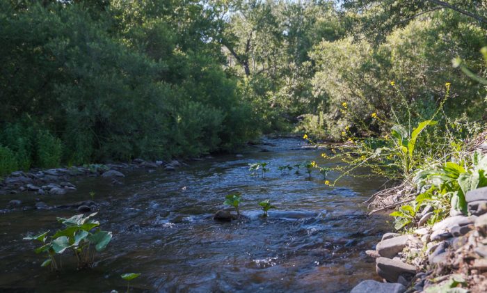 Таргын лагерь