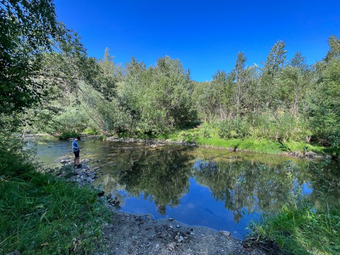 Асу-Булак - Нижние Таинты  дорога