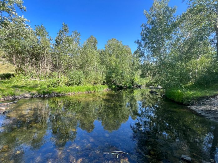 Асу-Булак - Нижние Таинты  дорога