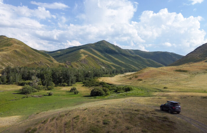 Таргын лагерь