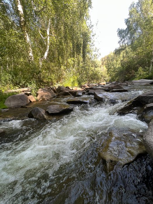 Асу-Булак - Нижние Таинты  дорога