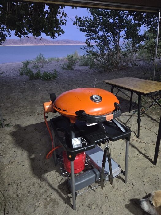 Отдых Восточный Казахстан - гриль O-Grill